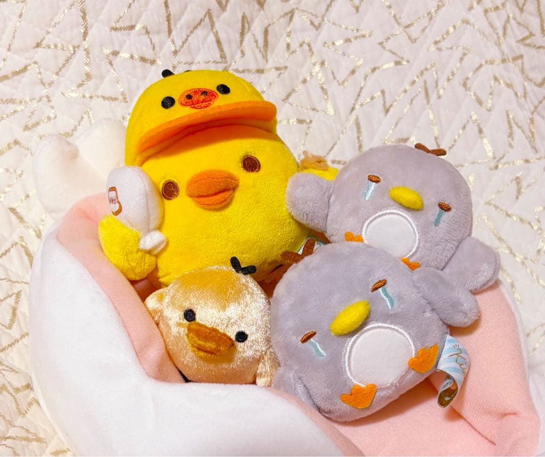 キイロイトリダイアリー　おともだちのトリセット