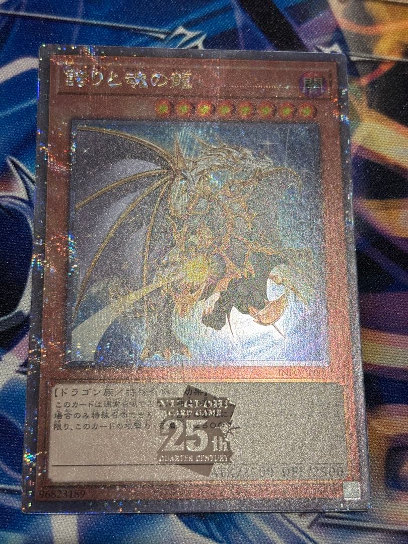 誇りと魂の龍　25thシク　まとめ　スリーブ付