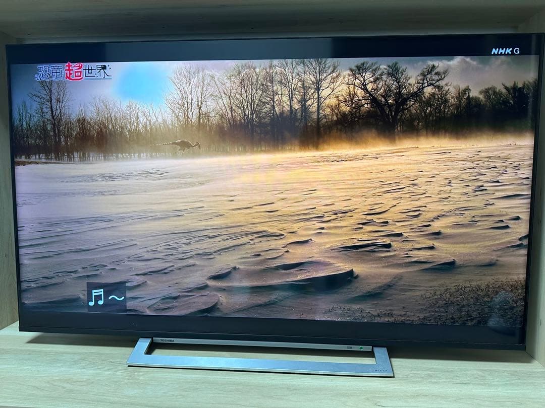 REGZA 55V型 液晶テレビ