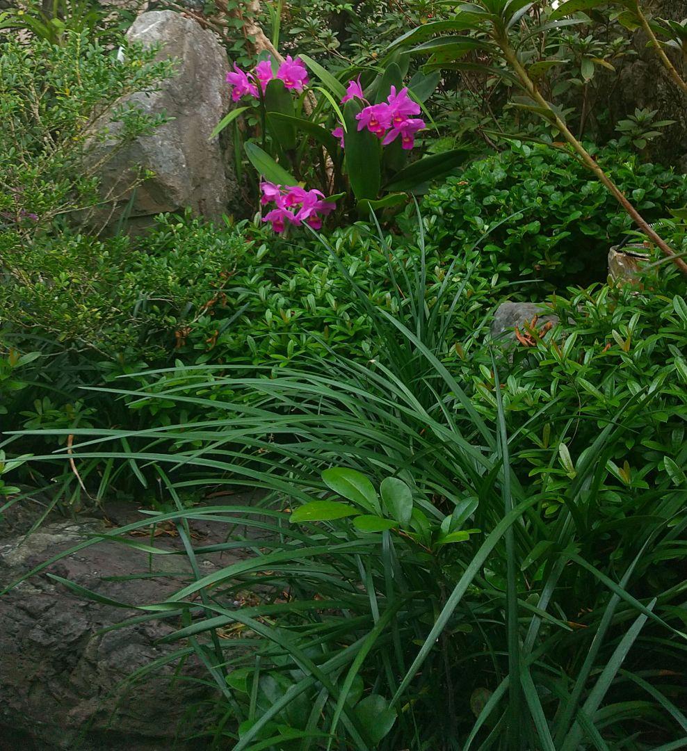【やちむん】古い壷屋焼の壺