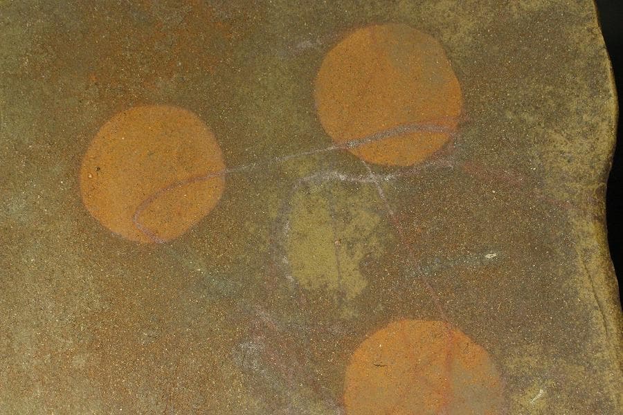 備前 皿 紘一作 箱入 415