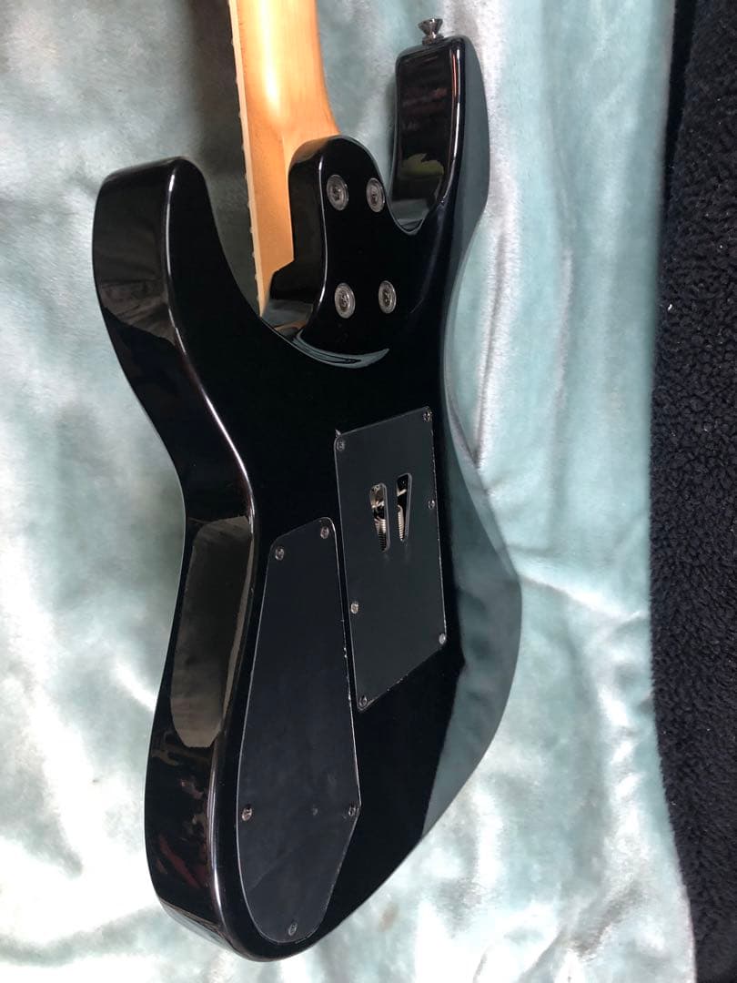 c*k様 チャッティングバード by Caparison CDE HH