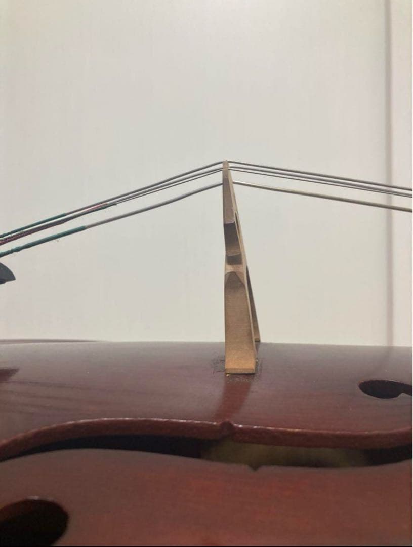 美品】ドイツ製チェロ　Gerhard Reinel 3/4 ソフトケース•弓付き