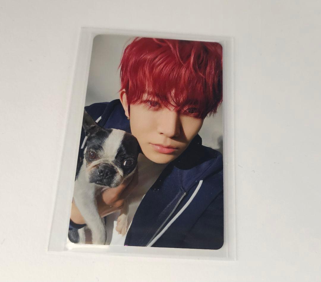 ENHYPEN アンケートトレカ ヒスン