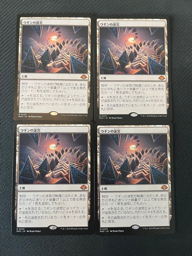 ウギンの迷宮 日本語4枚セット