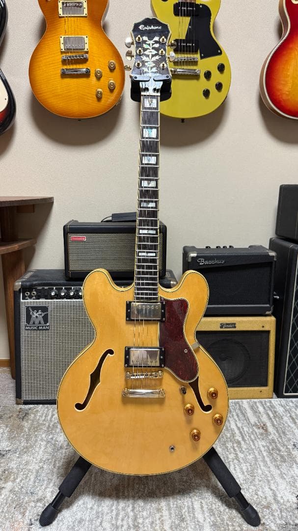 Epiphone SHERATON II 2014ｓ