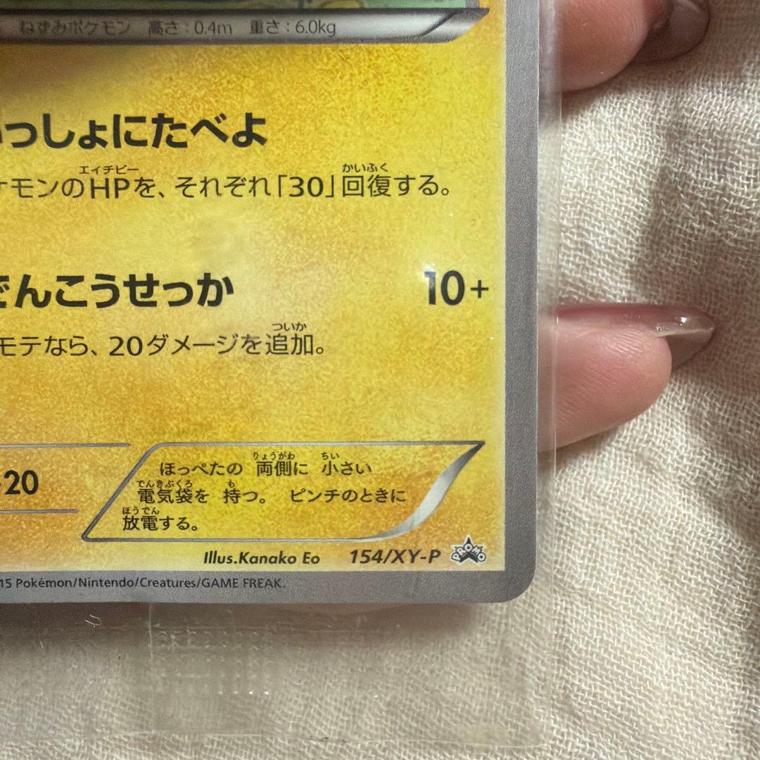 【未開封】ピカチュウ ポケモンべんとう　いっしょにたべよ　ポケモンカード