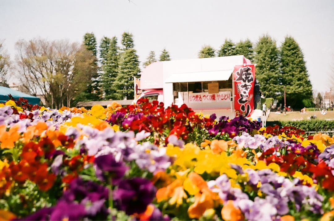 【作動保証1ヶ月】整備済、完動品/ OLYMPUS TRIP35　オリンパス