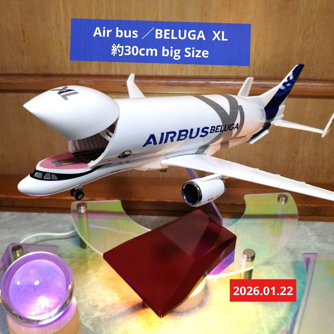 ●New！ エアバス／ベルーガXL 約30cm美品