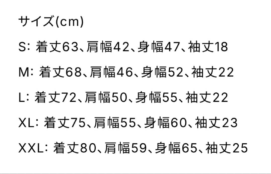 【未開封】GREENDAY VERDY Tシャツ XXL