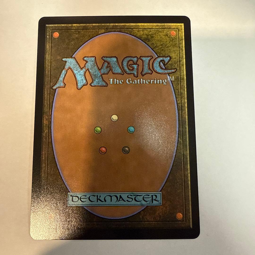 司書 ワン・シートン　日本語　ボーダレス