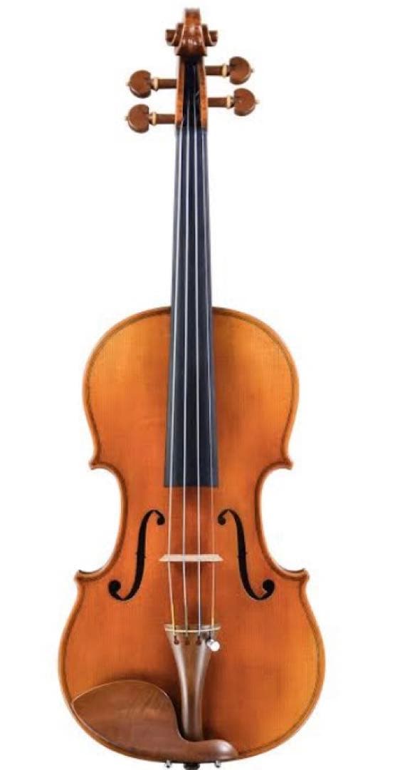 pygmalius ピグマリウス　バイオリン　本体