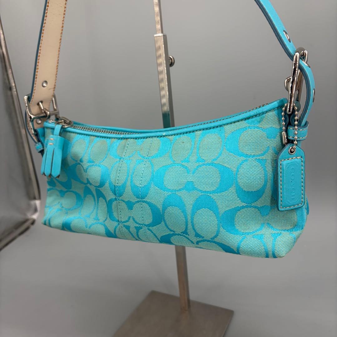 バッグ Coach Baguette Hampton Semi Demi Bag