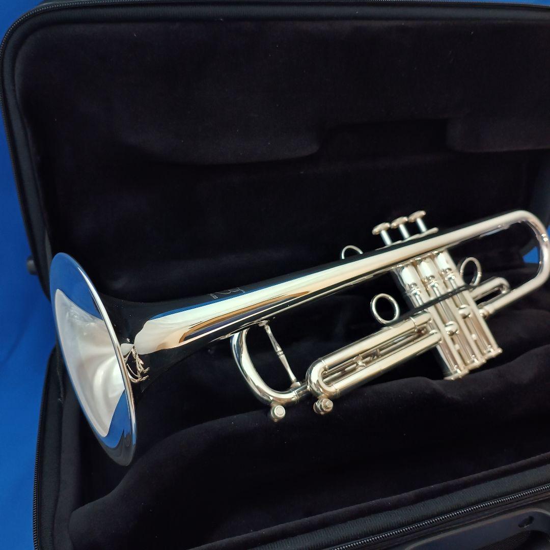 選定品 ZORRO Custom BUILT ModelII