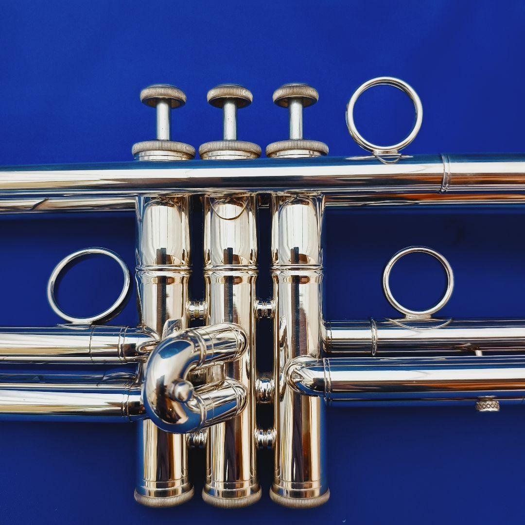 選定品 ZORRO Custom BUILT ModelII