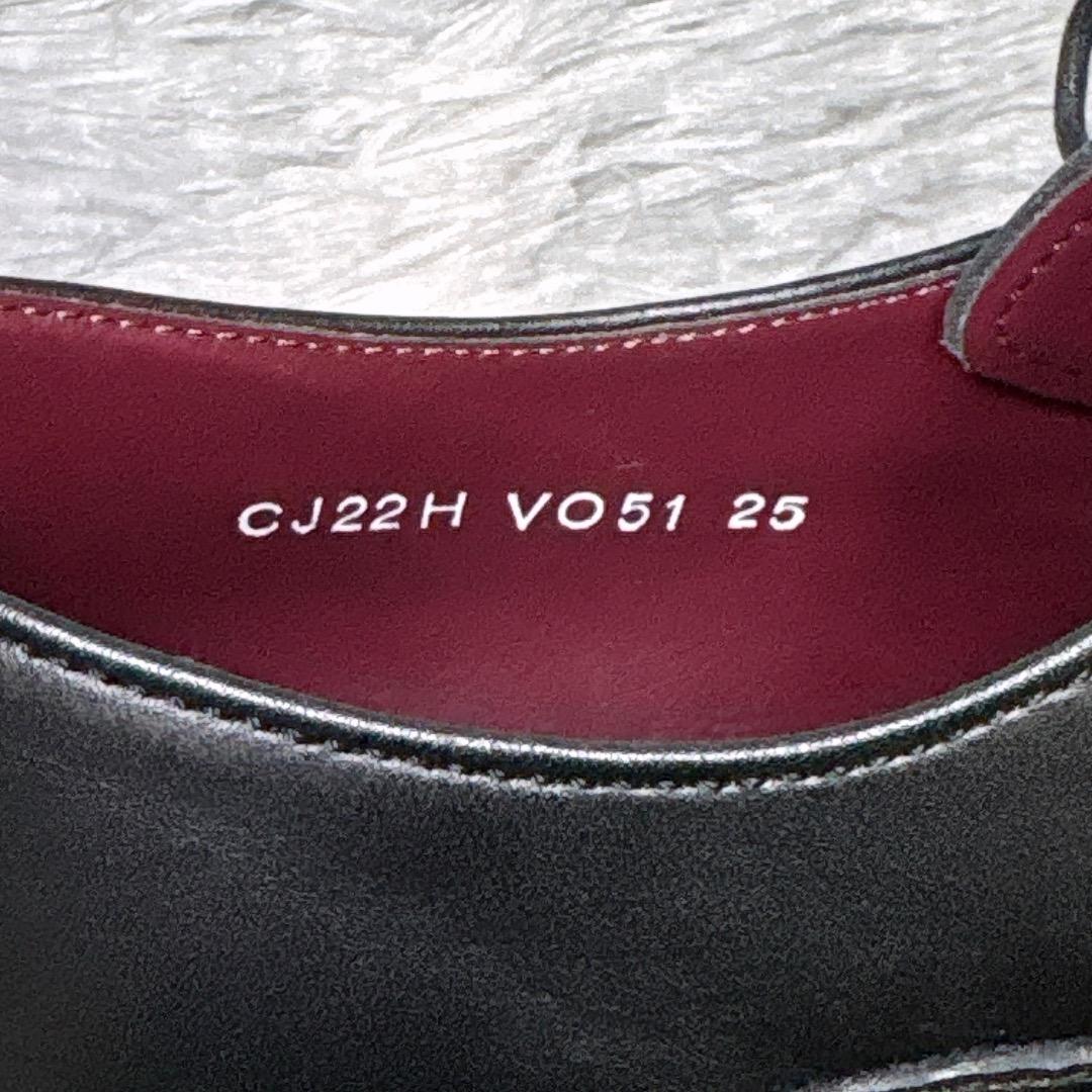 未使用✨REGAL 25.0cm EEE Uチップ ビジネスシューズ VO51