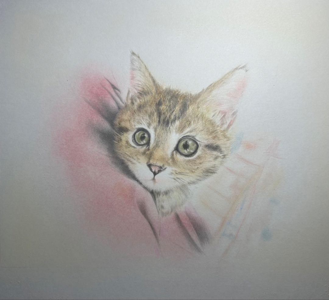 masa7716　猫猫　絵画