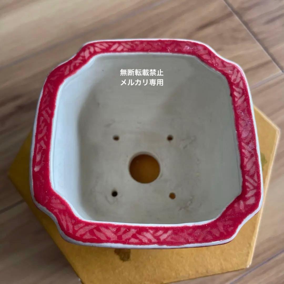 盆栽鉢　桑津香石　絵鉢　四角　松　鳥　赤絵　小品盆栽