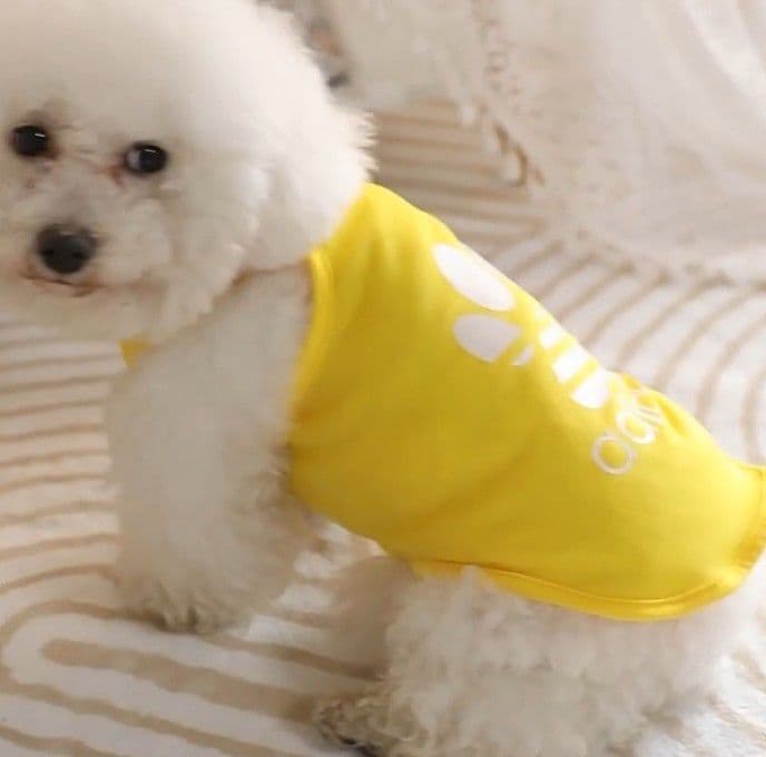 THE DOG FACE 赤 ドッグフェイス Mサイズ 犬 服 猫 防寒 軽い