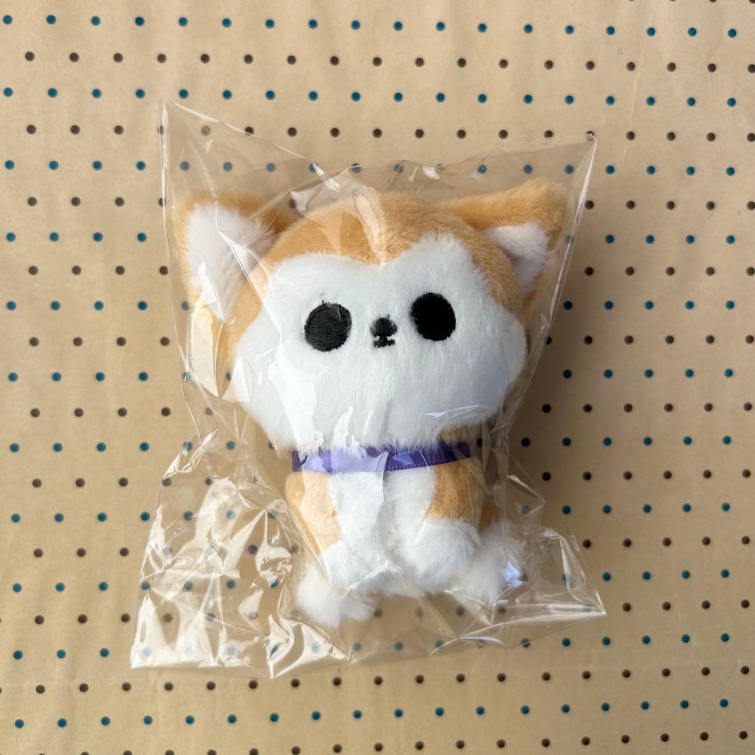 超特急 リョウガ 生誕グッズ Tシャツ タオル 枕カバー ティアラマスコット