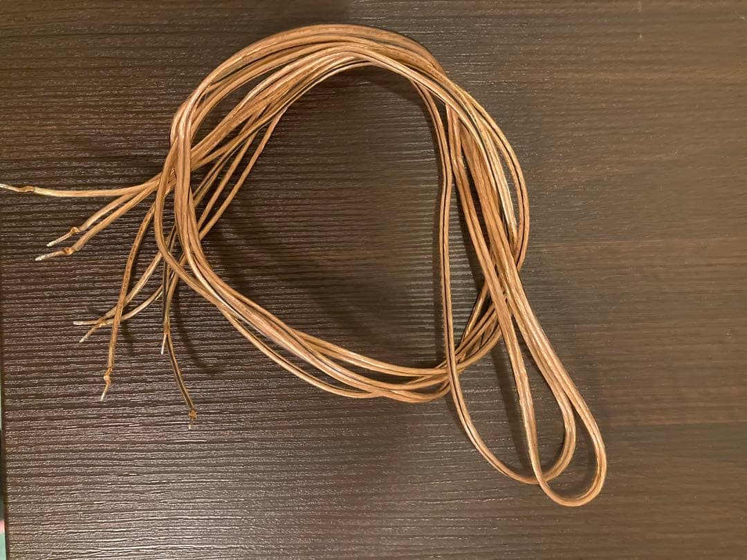 S*r様 JVC SP-EXS1-B ウッドコーンスピーカー