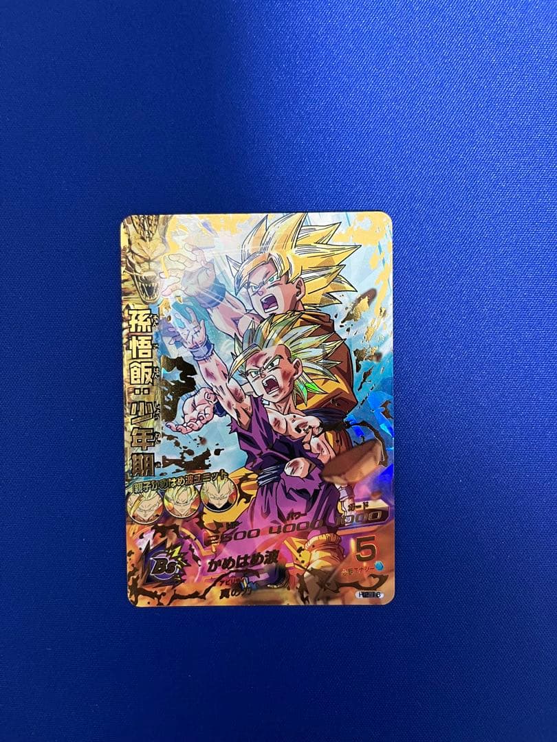 H2-16 孫悟飯:少年期 本家