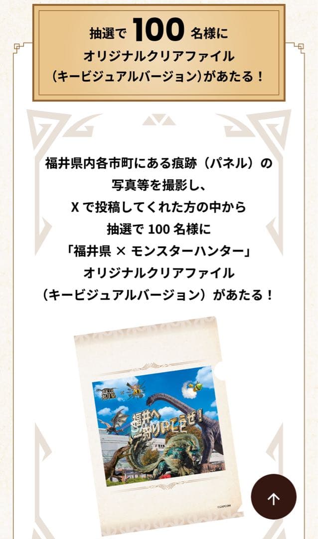 【クリアファイル】モンスターハンター モンハン 福井県コラボ 限定 当選品 抽選