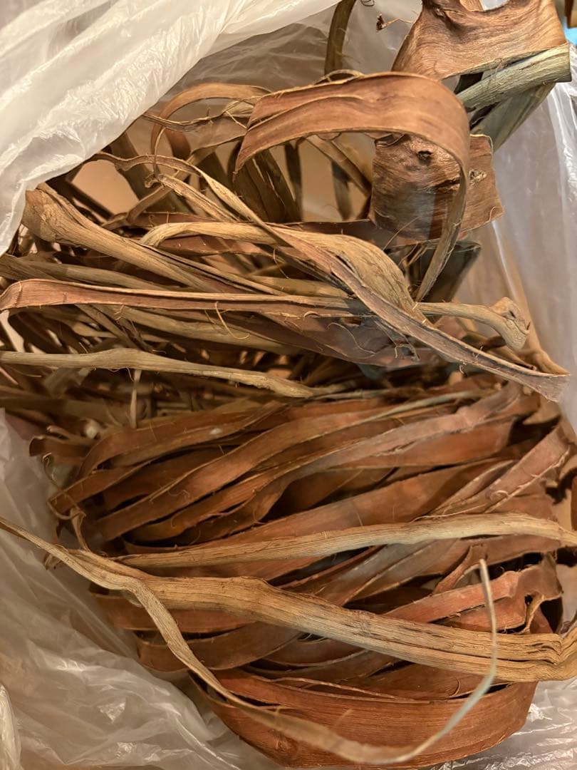 岩手県産山葡萄　2024年産　限定１点