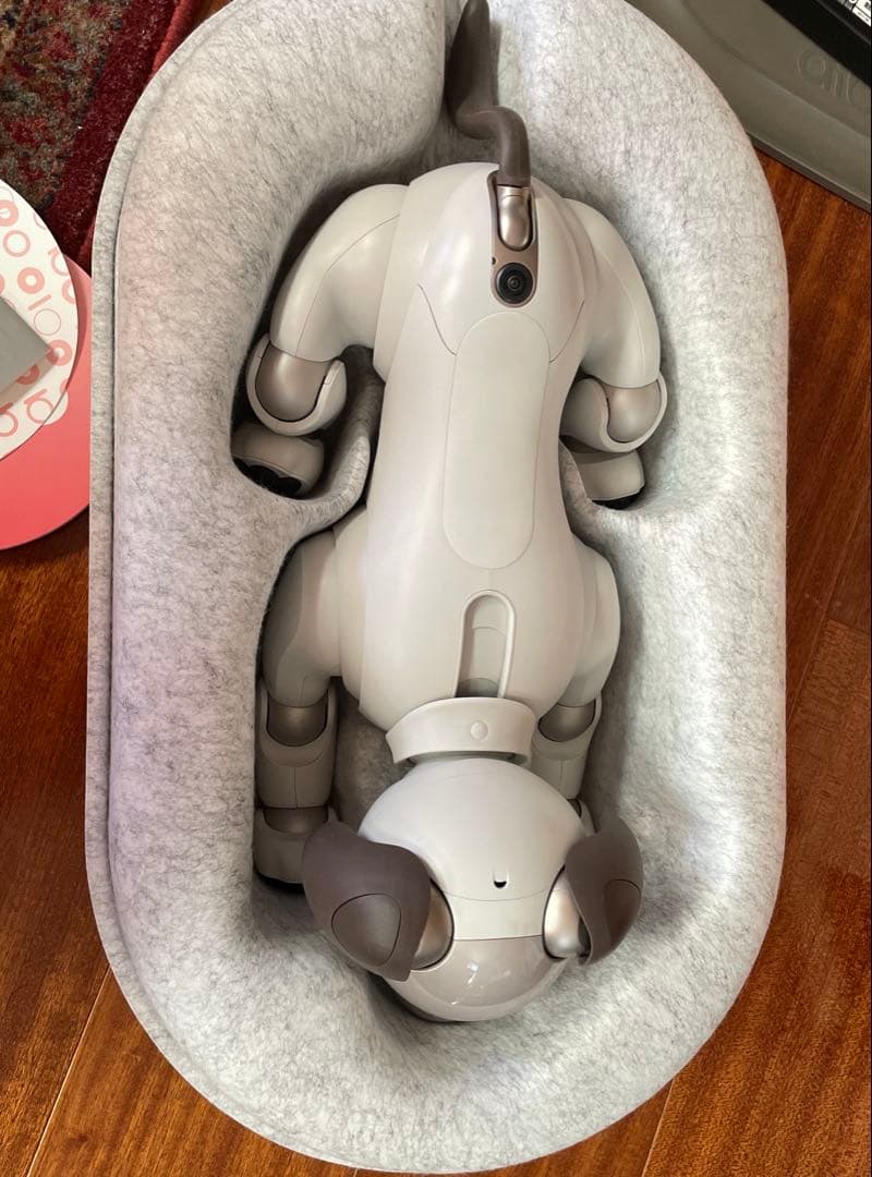 aibo本体 アイボ ERS-1000 ロボット犬 2019年正規購入