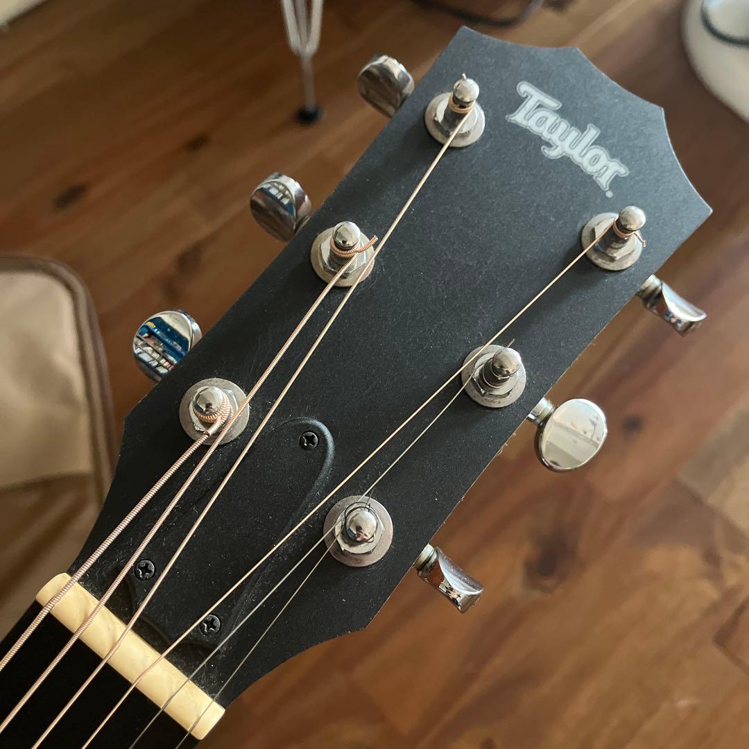 はせけん　オススメ！Taylor Bigbaby 色々おまけ付き！