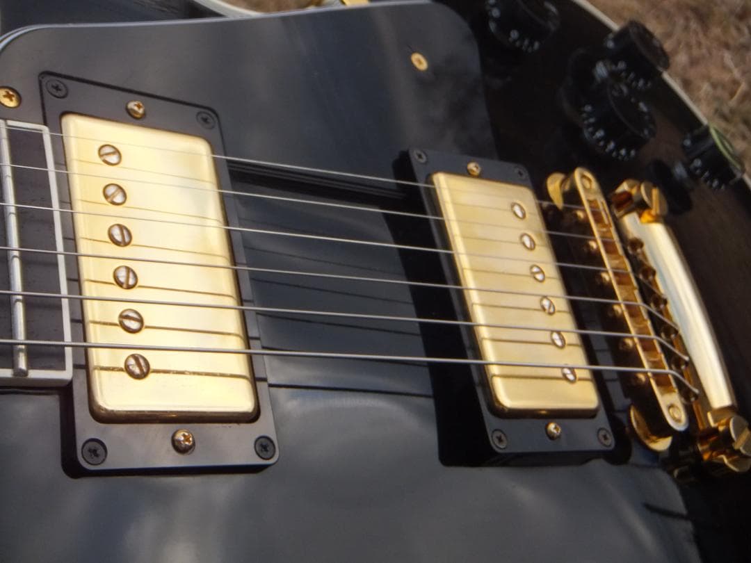 Fujigen NLC20EMH ラッカー　マホボディー　エボニー指板