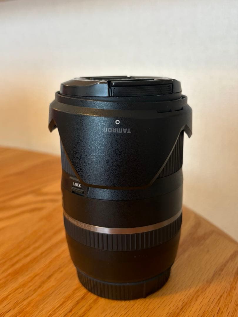 【モリノクマサン】