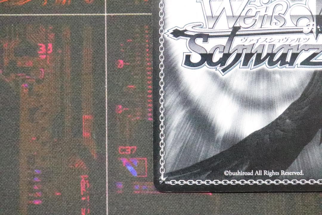 ふわもこ夢心地 望月杏奈 SSP サイン 44-MY0921-12C