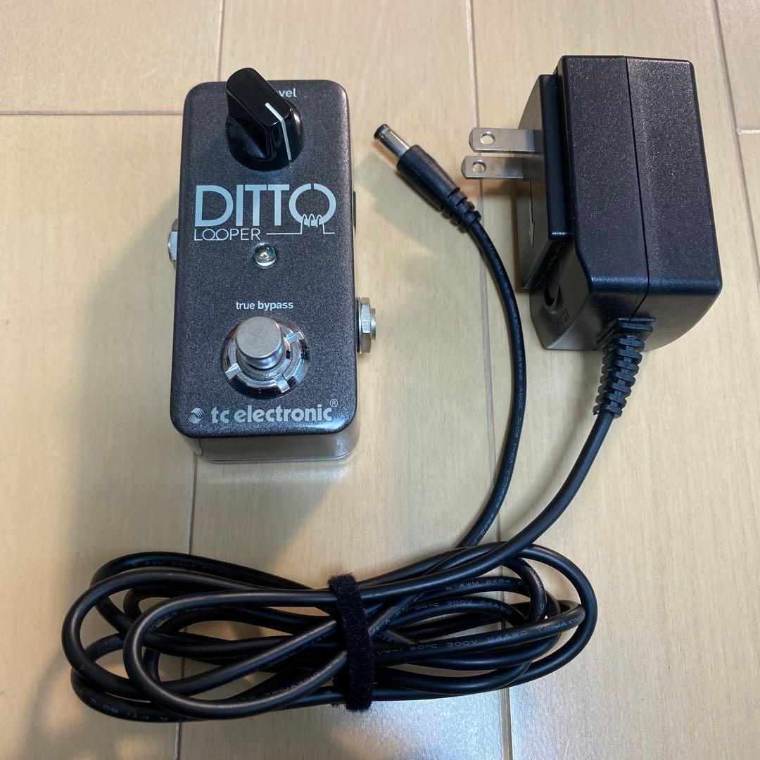 ギター TC Electronic Ditto Looper