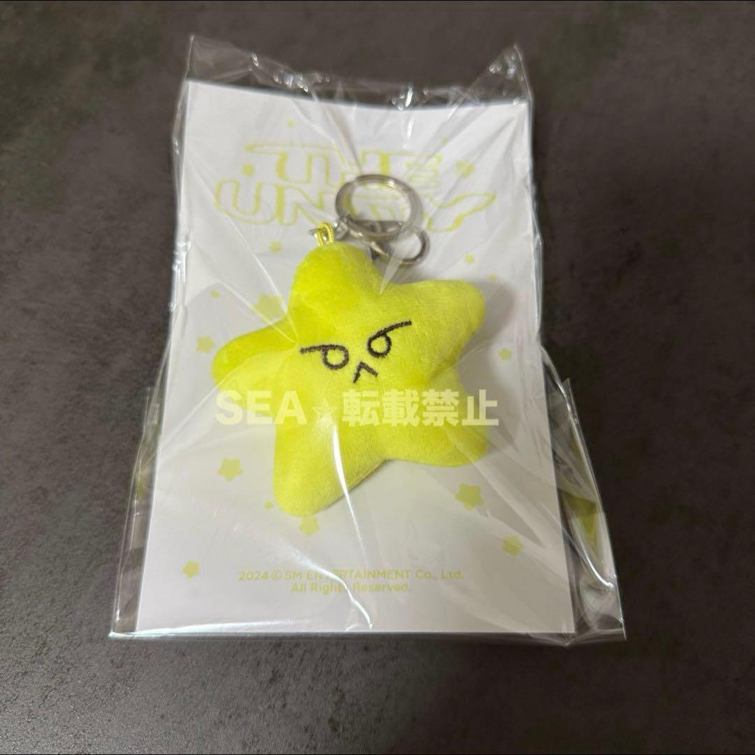 NCT 127 イリチル ヒトデ ドヨン キーリング トレカ