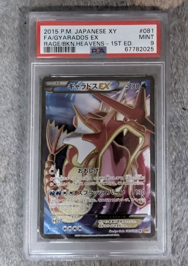 PSA ギャラドス SA SR ポケモンカード XY コイキング