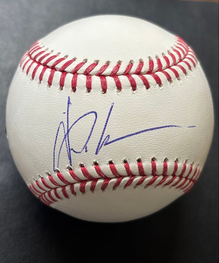 ラッキーさん専用