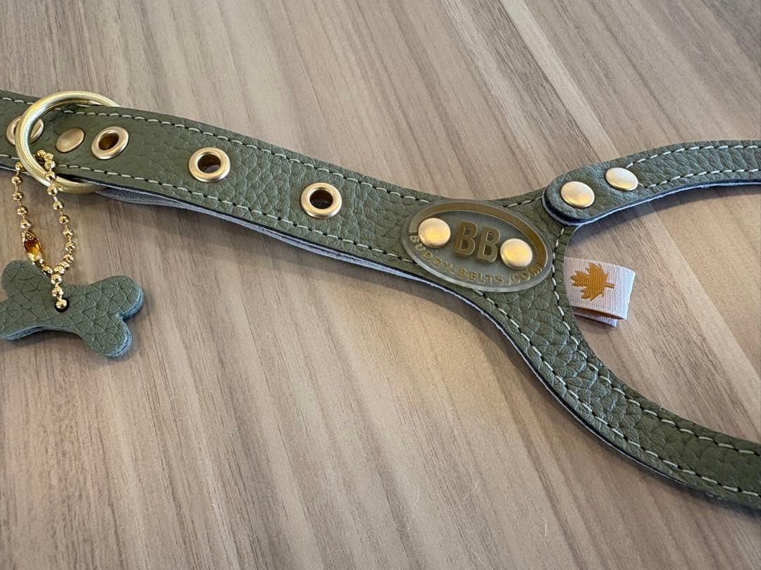 バディーベルト　レザーハーネス　新色　セージ　3.5号