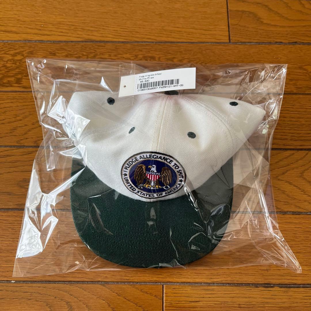 Supreme®︎ Pledge Allegiance 6-Panel