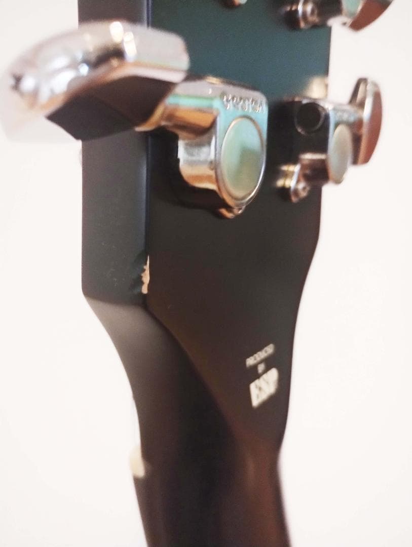 【レスポールタイプ・SSH】E-I-135QM【LUNA SEA・INORAN】