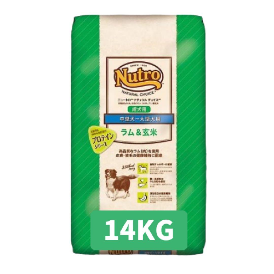 ドッグフード mori