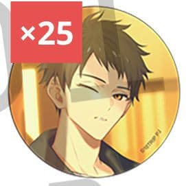 18TRIP AGF2025 1stBD缶バッジコレクション 木ノ内太緒 25個