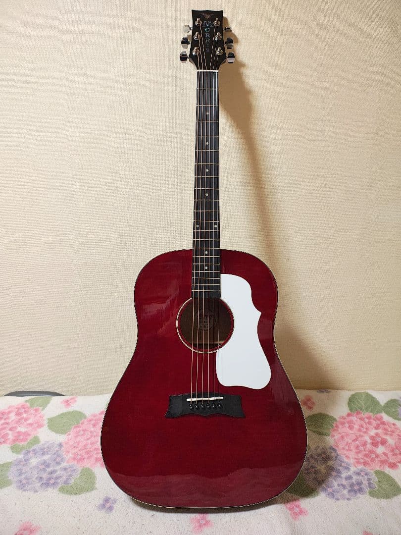 C.K！単板トップMORRIS G-021 WR/超美品/専用ケース付