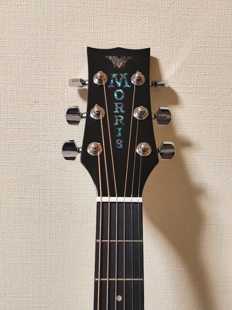 C.K！単板トップMORRIS G-021 WR/超美品/専用ケース付