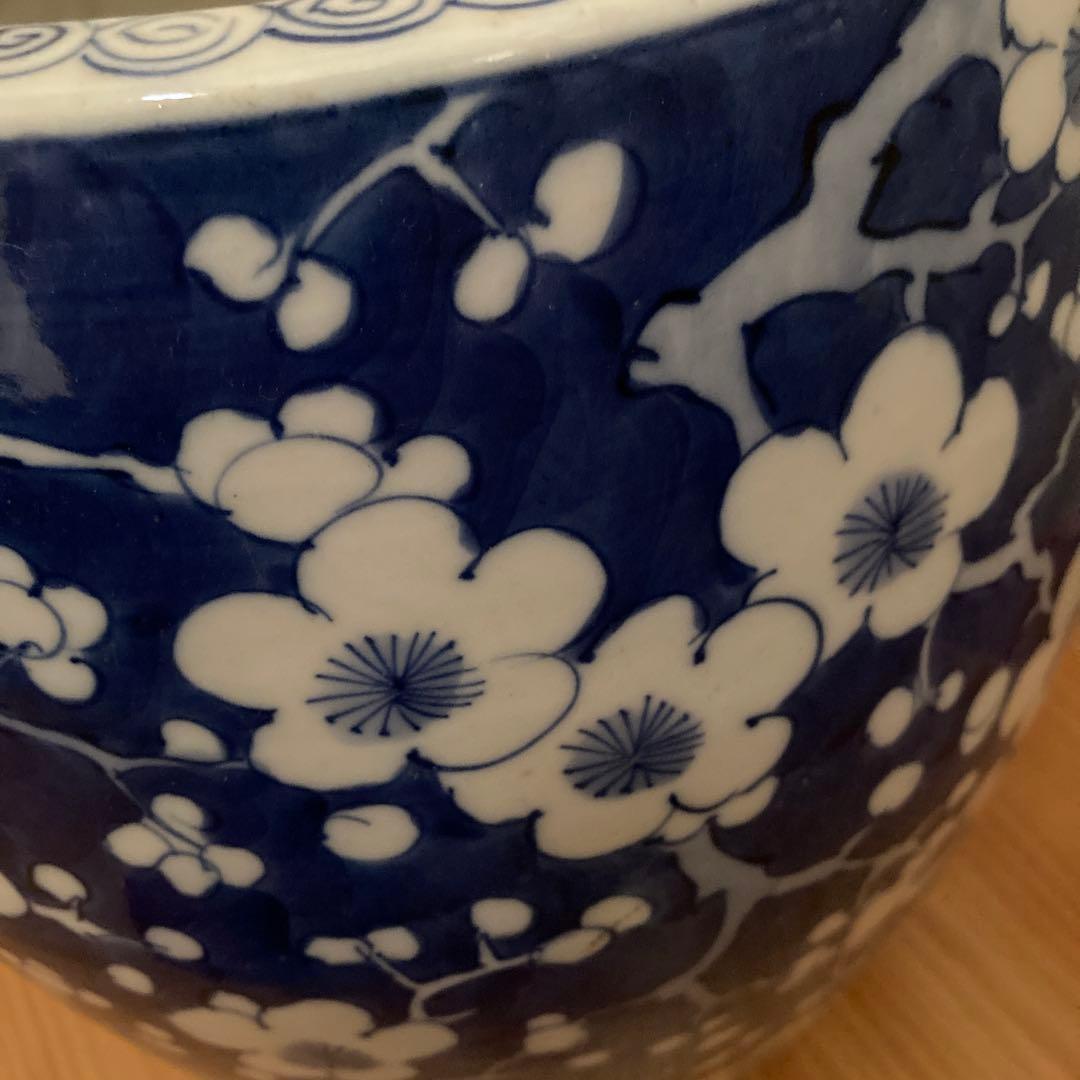 呉須　梅の花　火鉢　磁器　陶器