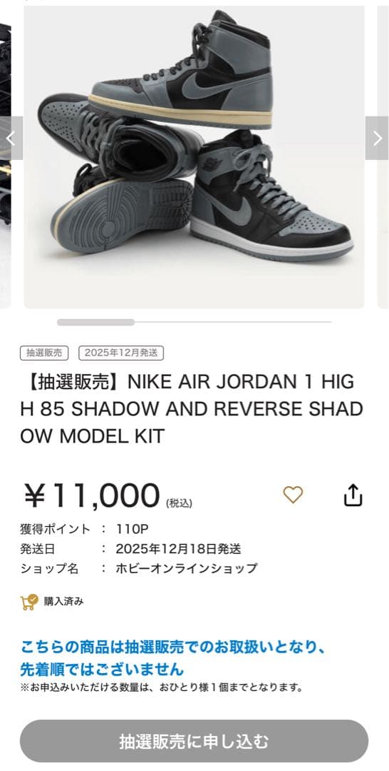 s*様 【新品未開封】NIKE AIR JORDAN 　MODEL KIT プラ