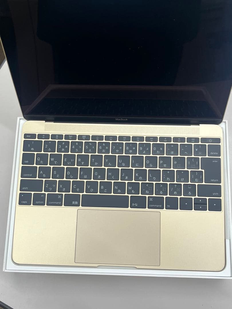 【格安値下】MacBook 13インチ　ゴールド　充電24回！！