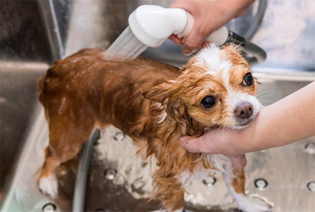 マイクロバブルシャワーヘッド ピュアブル2 メタル