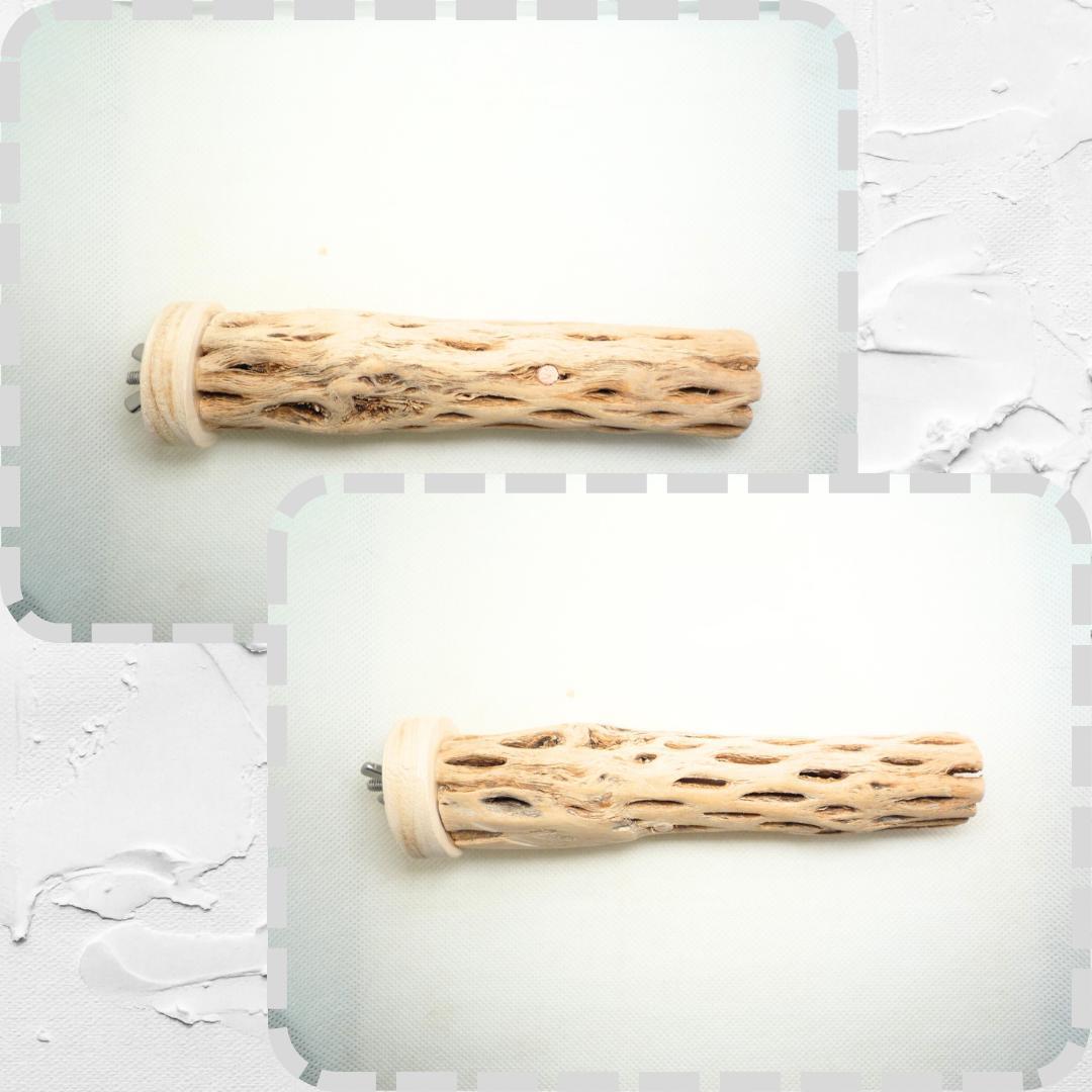 R@　おまとめ　カクタスパーチ　３本