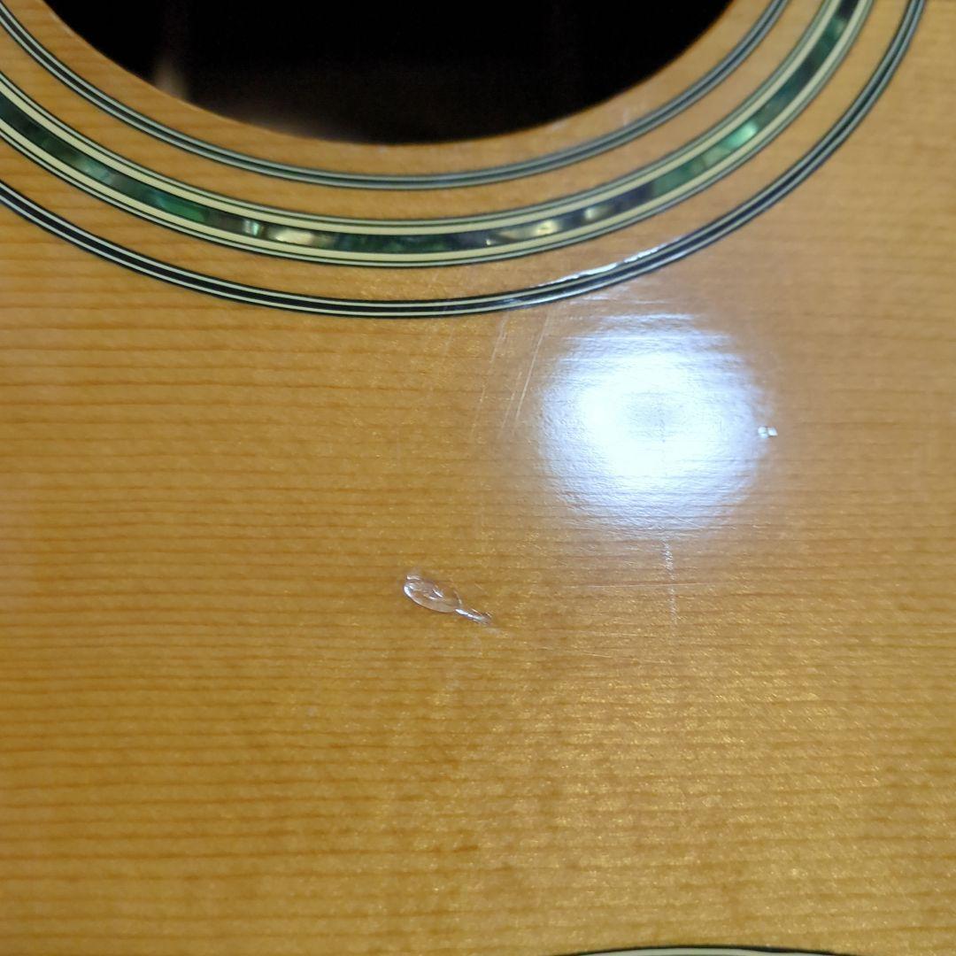 ギター TF MORRIS W50